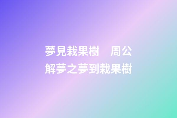 夢見栽果樹　周公解夢之夢到栽果樹